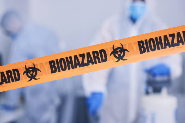 Professional Odor Removal technician working in Berryville, AR